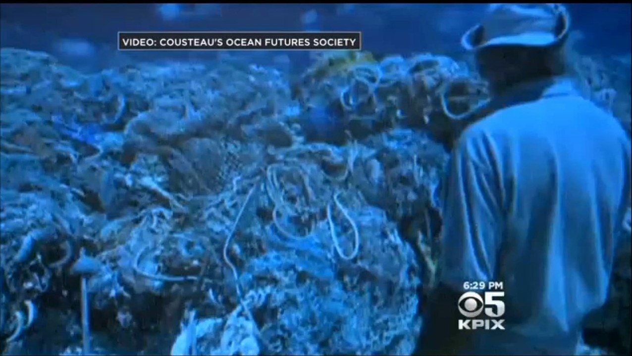 Explorer Cousteau  Quits eating Blue Fin and other fish