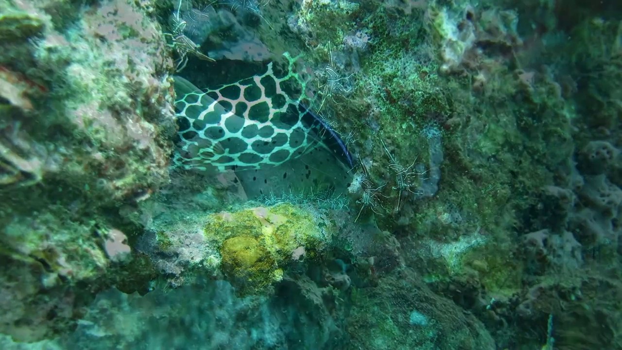 Bangsak Wreck 13.2.14