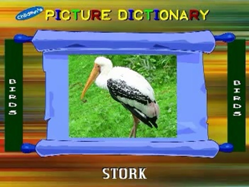 Birds Name {Must Know Nursery Rhymes}