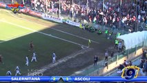 Salernitana - Ascoli 2-1 | Highlights and Goals Lega Pro 1^Div. Gir.B 24^ Giornata 16/02/2014