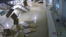 Un chat détruit le plafond de l'Adler Arena à Sotchi