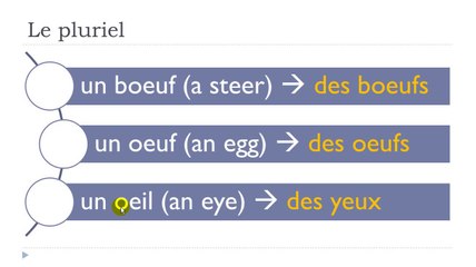 Learn French #Unit 3 #Lesson A = Le pluriel