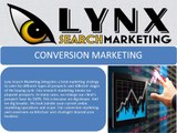 Lynx Search Marketing, LLC: Internet Marketing Agency in dallas
