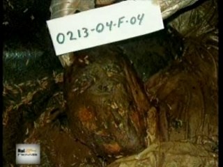 Fallujah - The Hidden Massacre [RAInews2