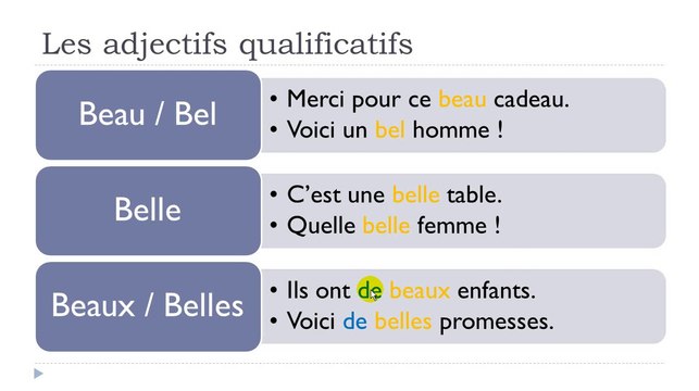 Learn French #Unit 5 #Lesson E = Les adjectifs qualificatifs