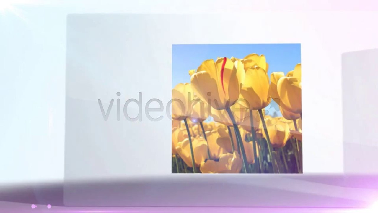 Glass Slide Presentation - After Effects Template