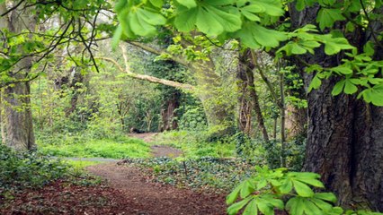Barnes common Barnes London