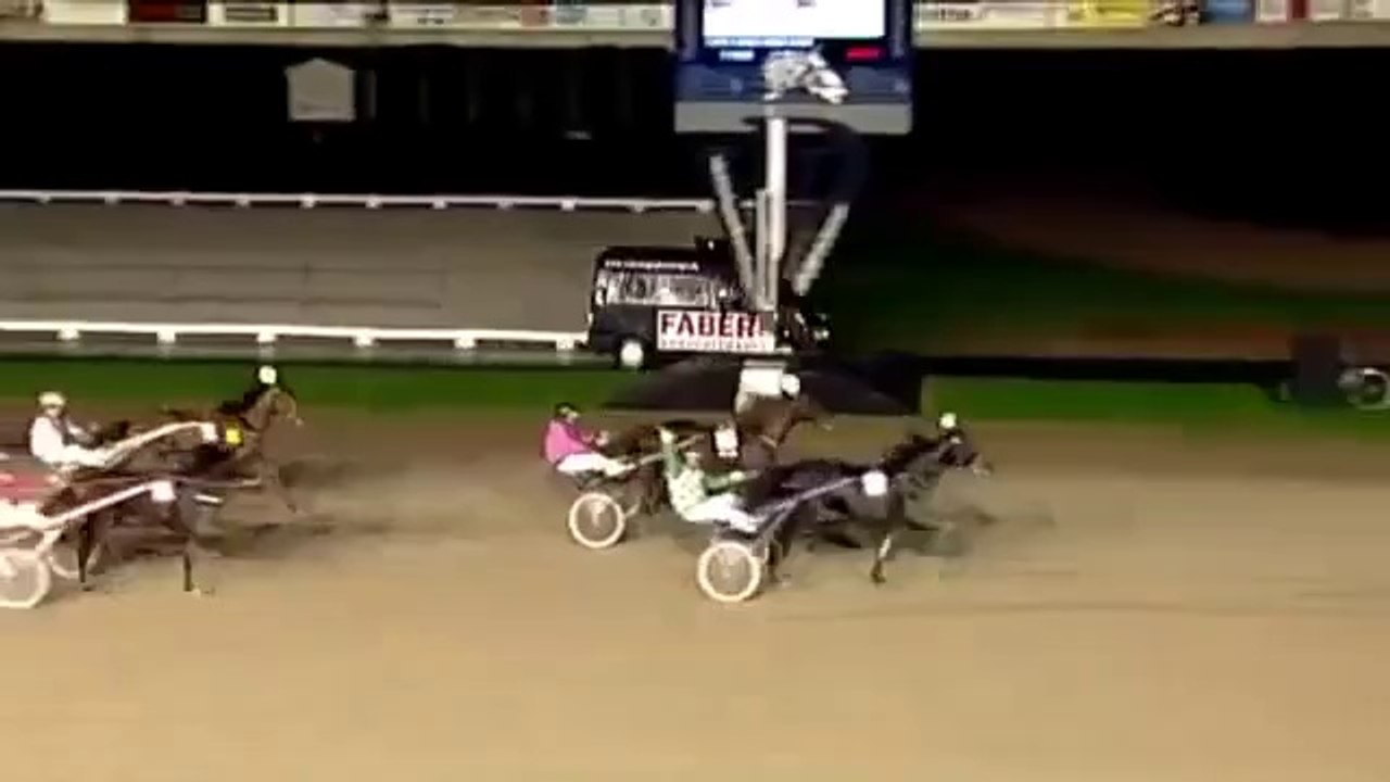 Hase gewinnt ein Pferderennen