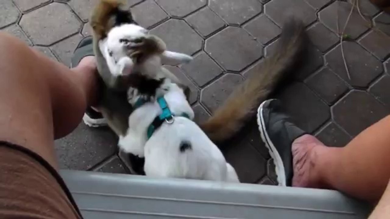 Hey, lass mir auch noch was übrig!