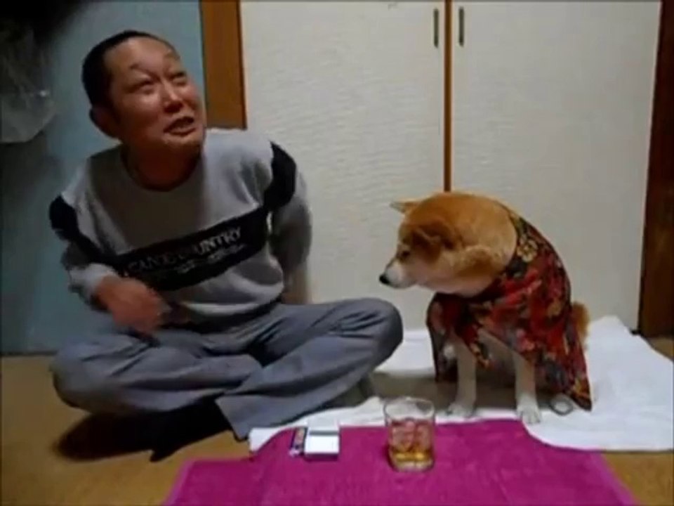 Hund hält sein Herrchen vom Alkohol ab