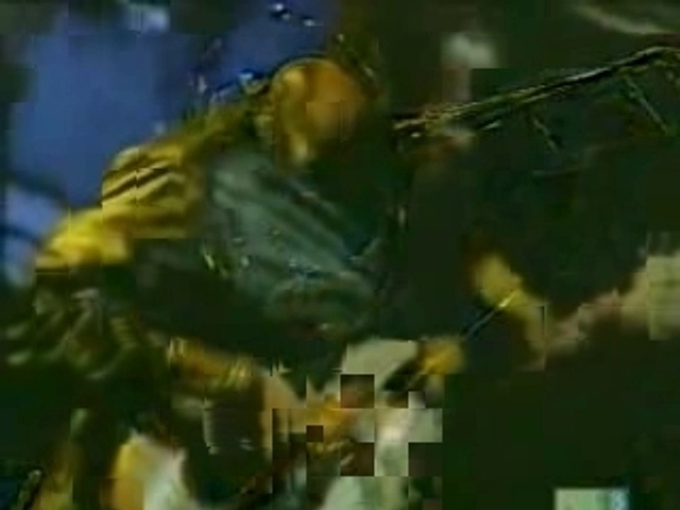 Steely Dan