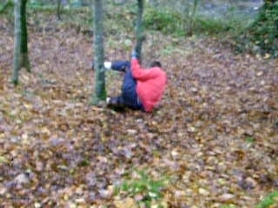 attention arbre!!
