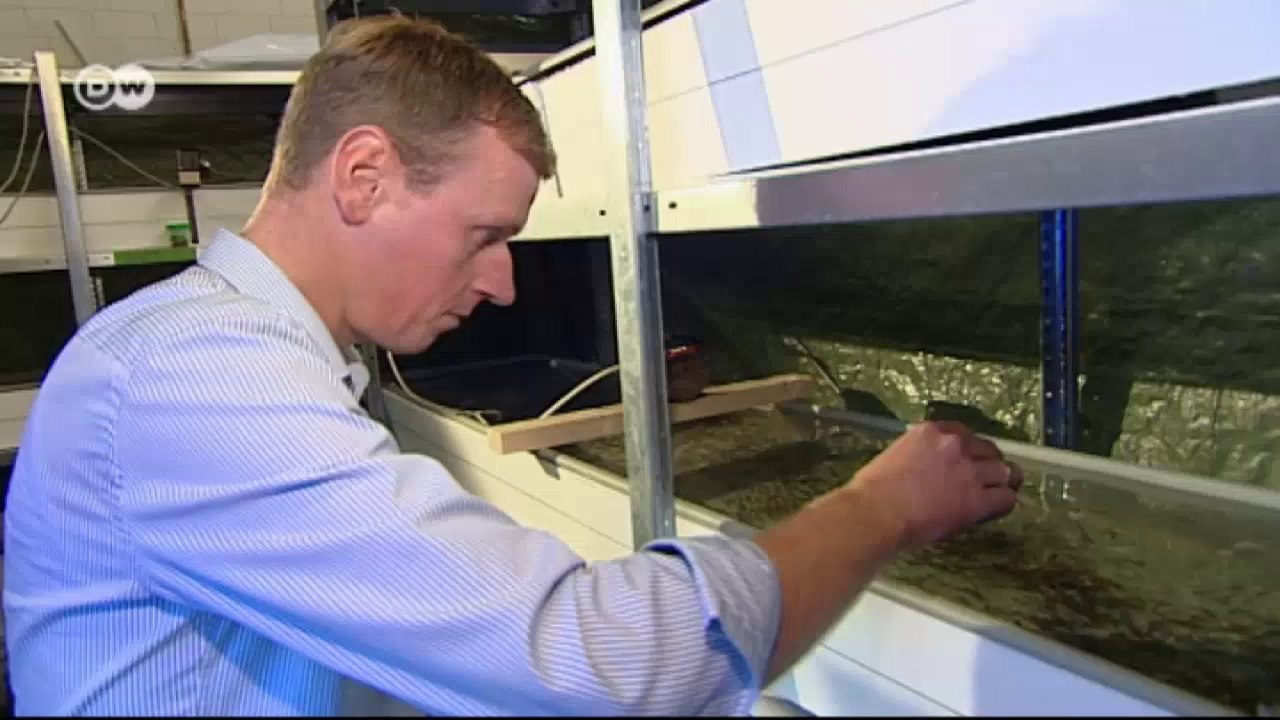 Ernährungsumstellung - Raubfische zu Vegetariern | Projekt Zukunft