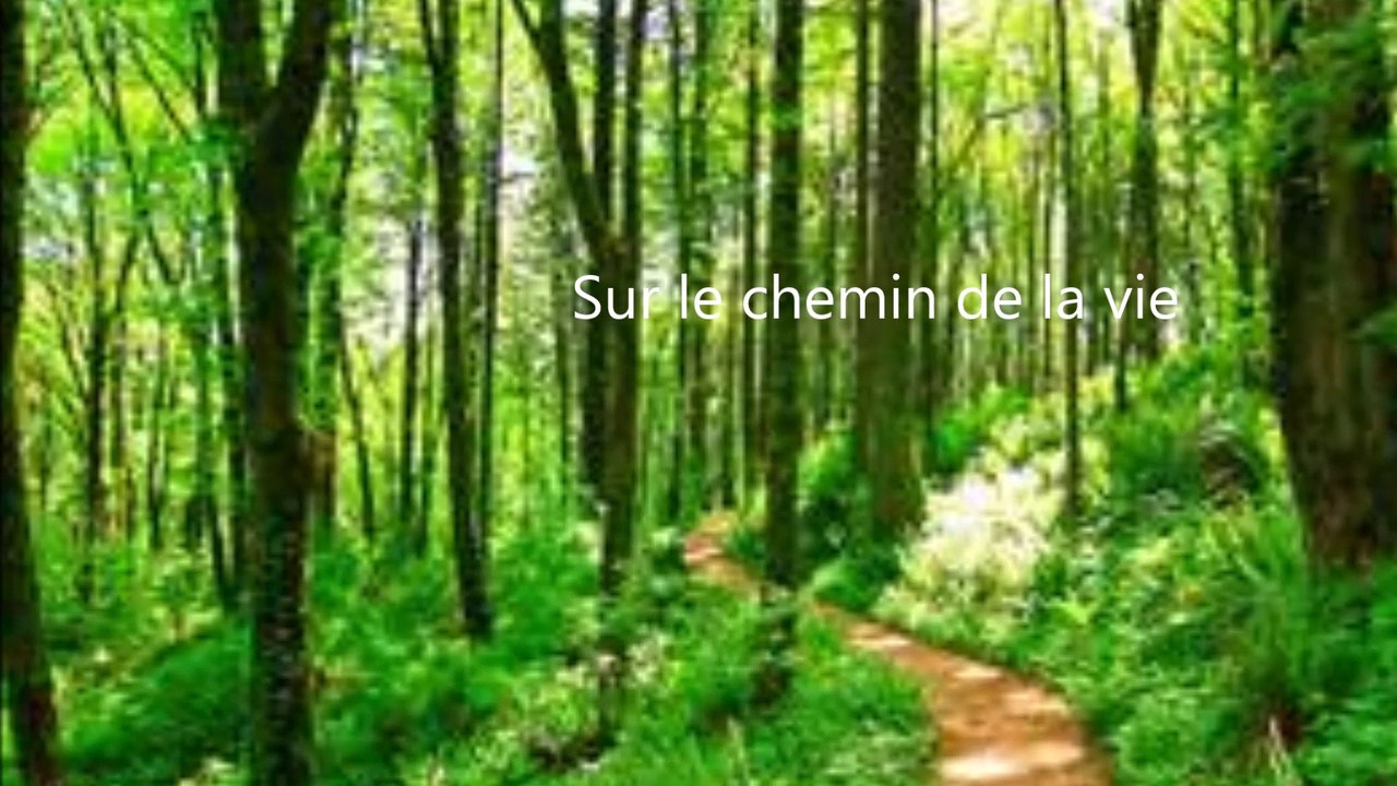 Tu m'as apris