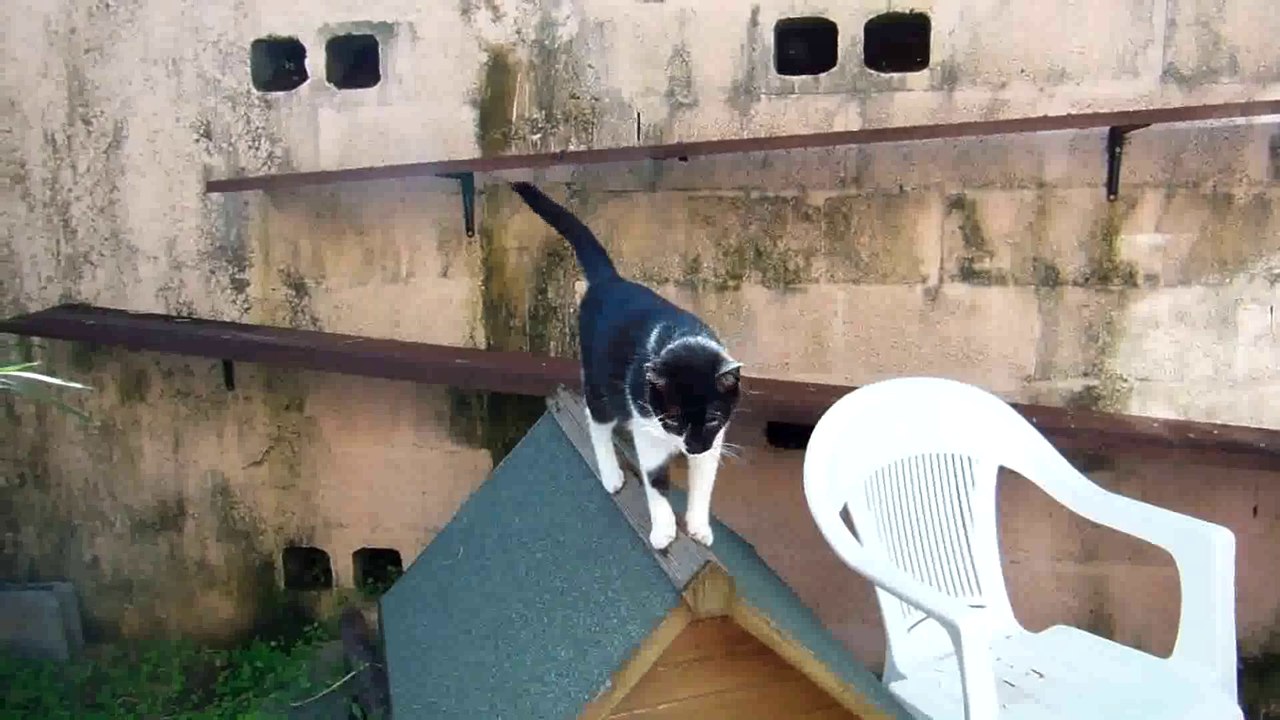 Lola se fait les griffes