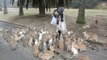 Woman tries to feed hundreds of Rabbits in the streets!!