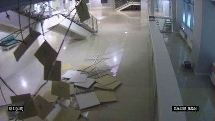 Cat ruined Sochi Olympic facility at Adler Arena