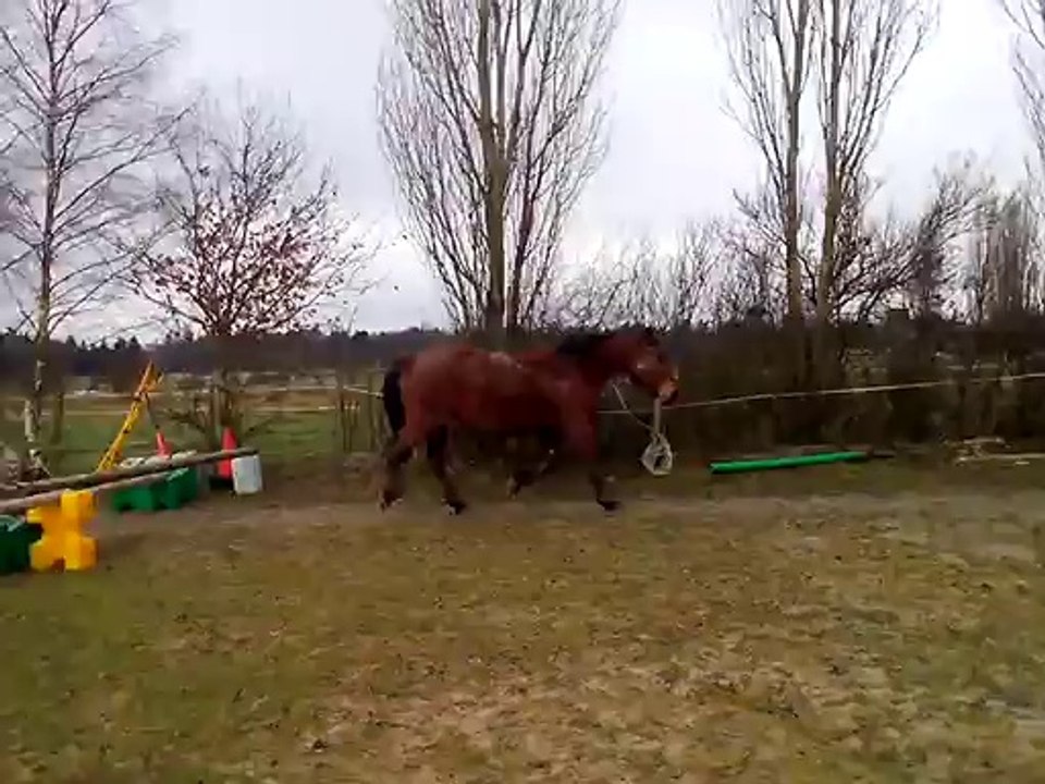 17.02.2014.g.tenebra