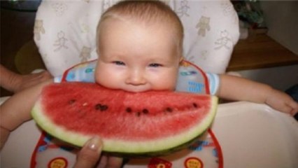 Videos graciosos de bebés