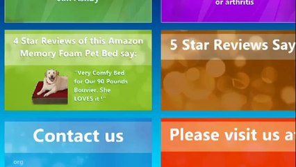 Memory Foam Dog Bed (Low)