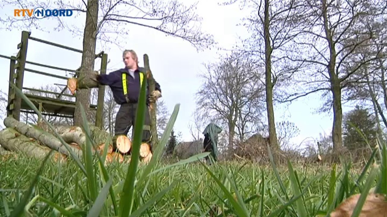 Grootegast trekt beurs voor houtsingels - RTV Noord