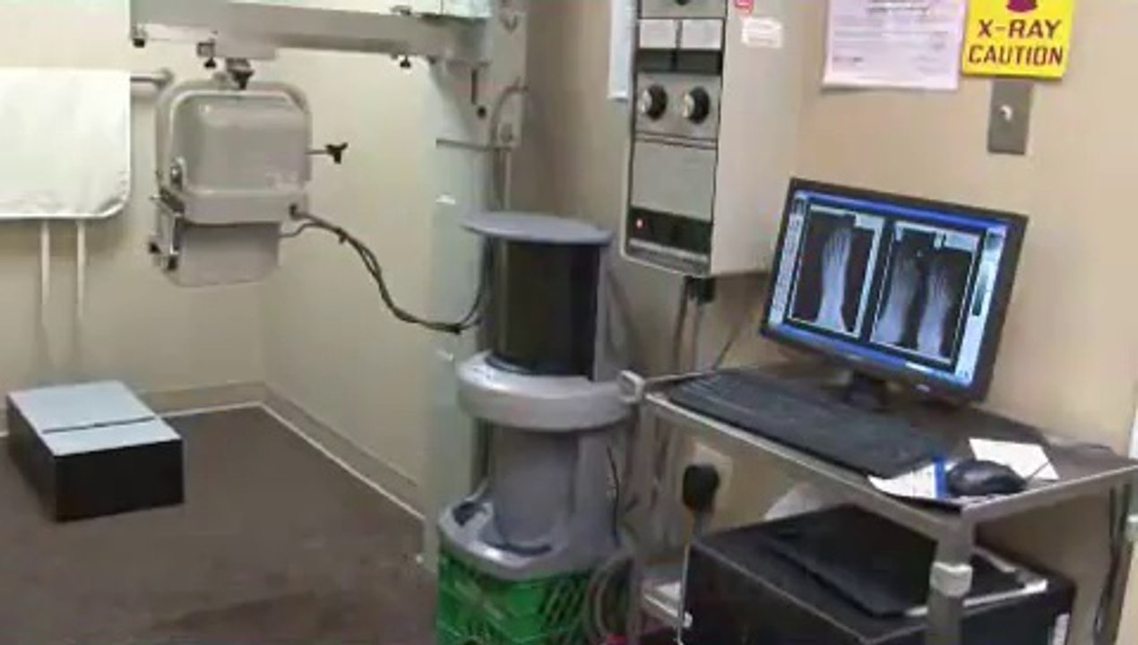 Podiatrist in Laurel, MD and DC Metro Area - Mitchell Barber, DPM