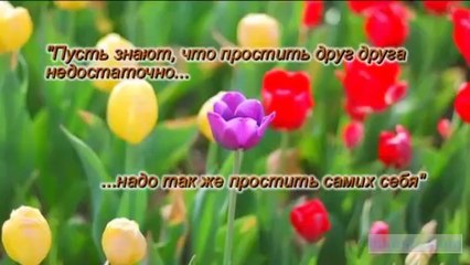 Интервью у Бога