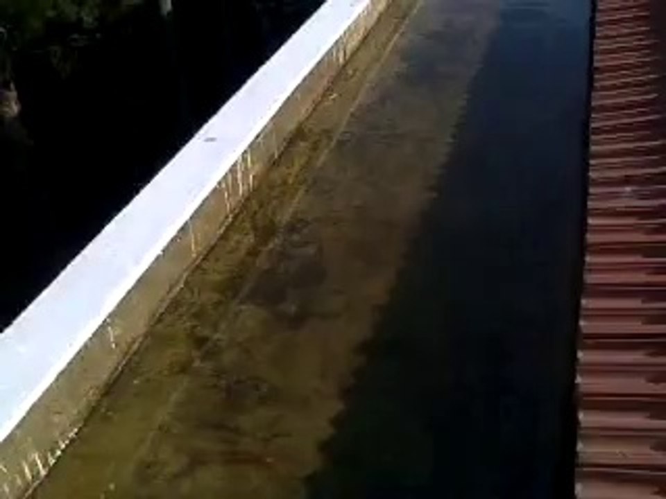 Video0040