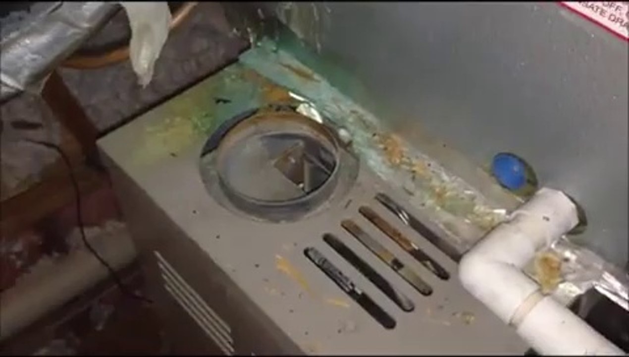 Home Inspectors Nashville TN | Nashville Home Inspection