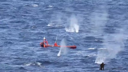 La Navy tire sur un bateau pirate Somalien
