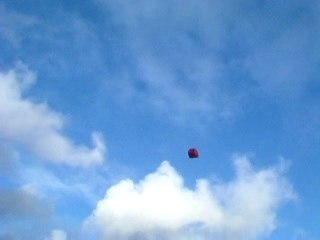 la technik de la feuille morte