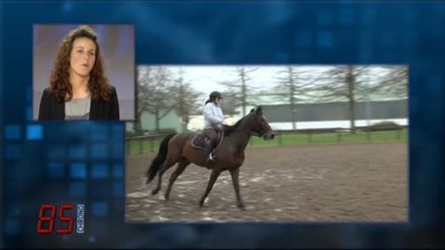 Découverte du Trophée Winter Jump de La Roche-sur-Yon