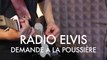 Radio Elvis - Demande à la poussière (Froggy's Session)