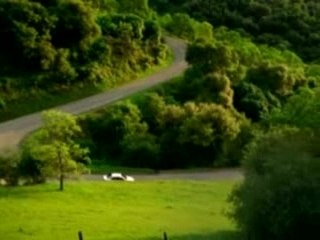 La pub qui fait peur