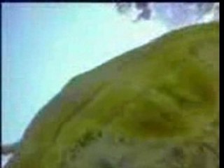 rencontre avec une tortue