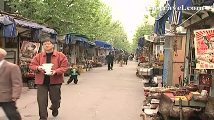 Dong Tai Road, Shanghai by Asiatravel.com