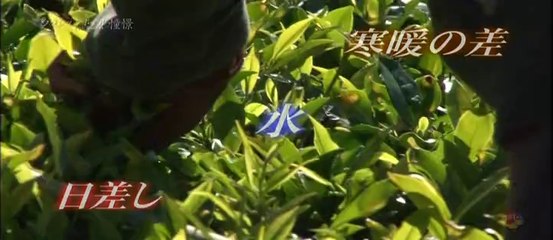 クラシックホテル憧憬 #16　グランドホテル（スリランカ）