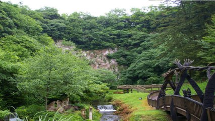 Wookey Hole Caves and Papermill Brislington Somerset