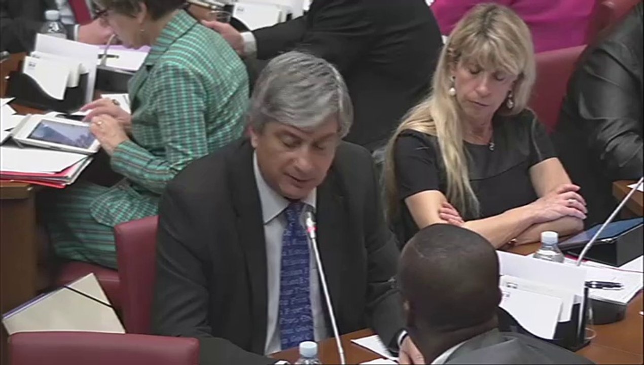 Intervention d'Hervé Féron en Commission des Affaires Culturelles et de l'Education : audition d'Alain Fuchs, président du CNRS