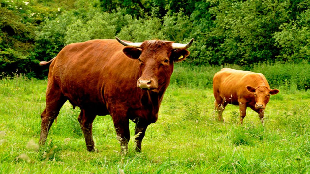 Stevington Country Park Milton Keynes Buckinghamshire