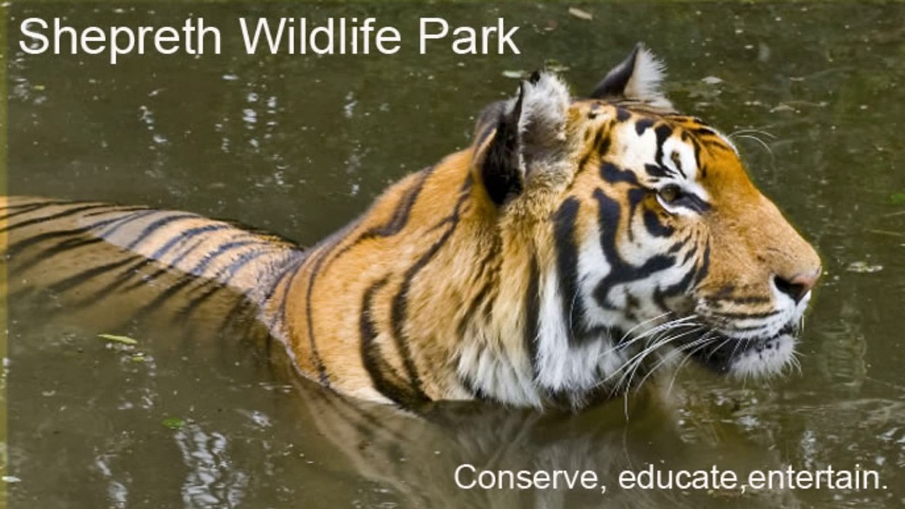 Shepreth Wildlife Park St Neots Cambridgeshire