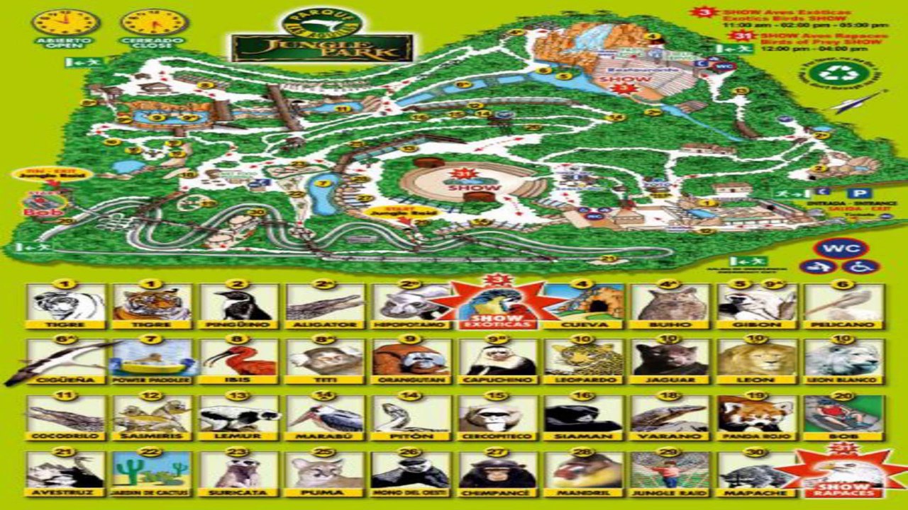 jungle park Swindon Wiltshire