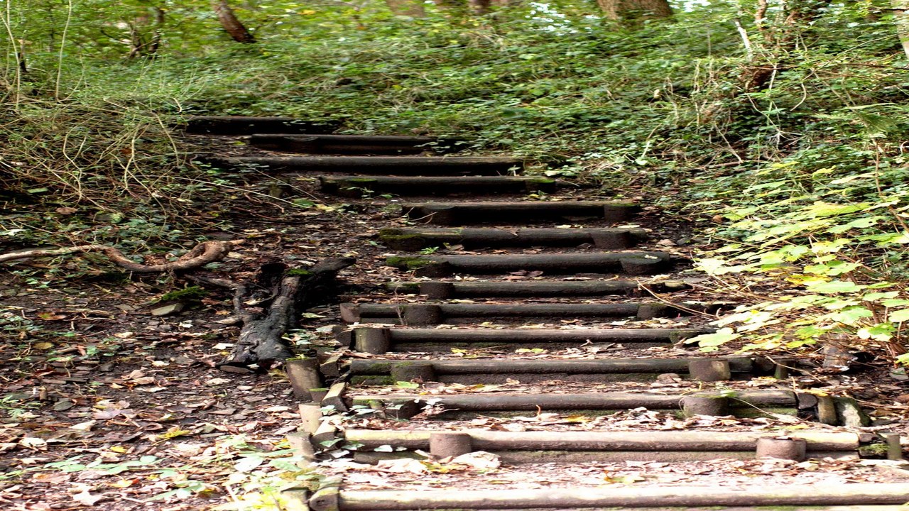 warndon woodlands local nature reserve Warndon Villiage Worcestershire