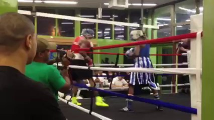 vid