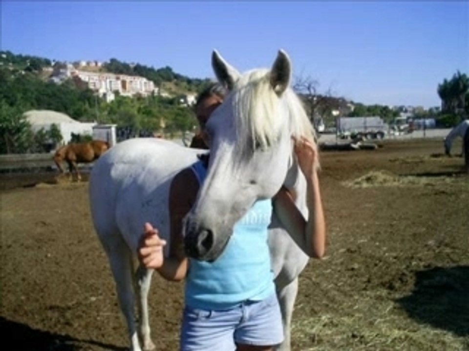 doria et ricola_0001