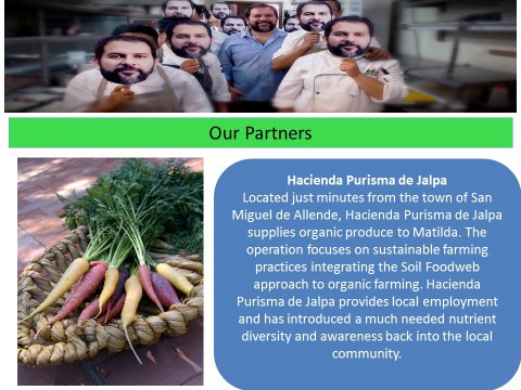 Moxi Restaurant San miguel de allende restaurants