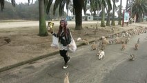 Japonya'da Tavşan Adası Okunoshima