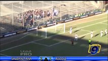 Salernitana - Ascoli 2-1 | Sintesi | Lega Pro 1^Div. Gir.B 24^ Giornata 16/02/2014