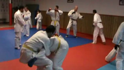 Jujitsu Rollin Philippe