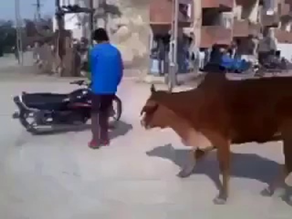 Stunt